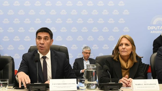 La secretaria de Energía nacional respaldó la reducción del régimen de zona fría.