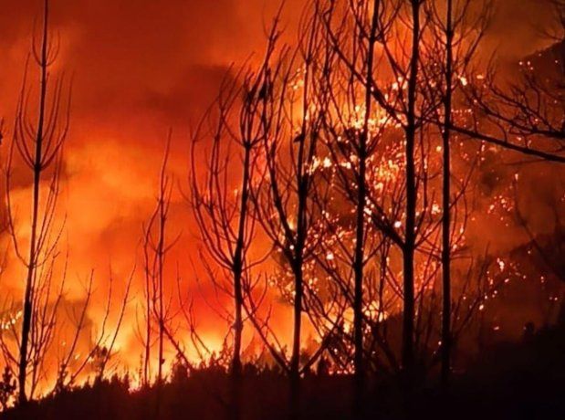 El incendio comenzó el 5 de enero en cercanías de Puerto Patriada y el lago Epuyén. El incendio comenzó el 5 de enero en cercanías de Puerto Patriada y el lago Epuyén.