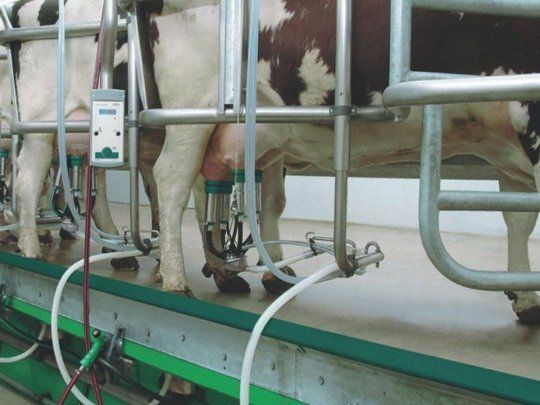 En el promedio mundial, la producción de leche creció un 0,68% en los primeros cuatro meses del año