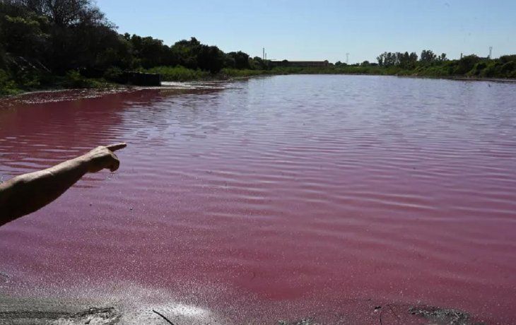La Laguna Cerro, una de tantas que se forman como meandros del río Paraguay en una vertiente donde el curso de agua hace una curva antes de alcanzar Asunción, era cristalina hasta hace cuatro meses.&nbsp;