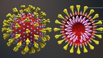Los muertos por coronavirus en China ascienden a 536.