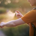 Especialista explica por qué ’Invaden’ la CDMX estos inesctosCómo eliminar de manera definitiva los mosquitos con aromas que ellos odian (y tú vas a amar)