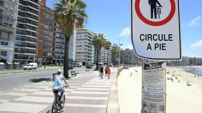 Los carteles colocados por la Intendencia de Montevideo en la rambla.