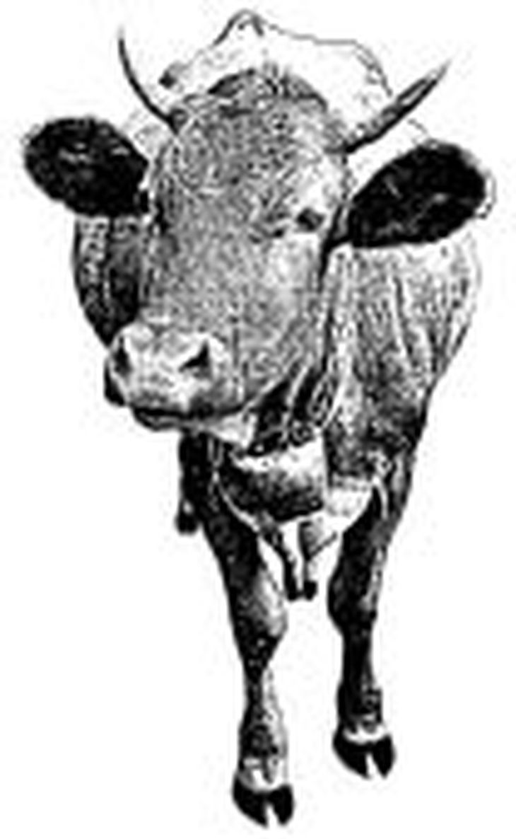 gan- varios 3_opt.jpeg