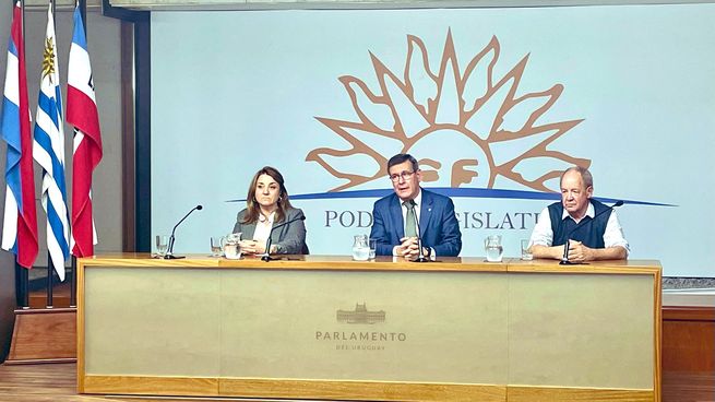 Jorge Díaz defendió el nuevo sistema contra el lavado de activos ante el Parlamento.&nbsp;