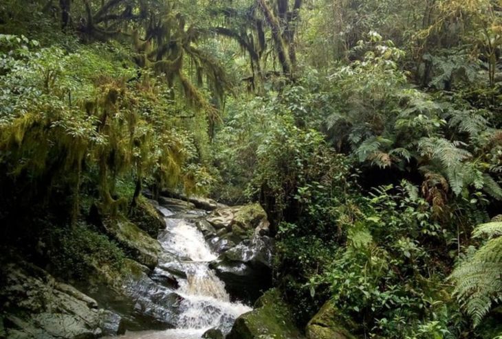 La mayoría de los turistas elige hacer trekking en este pueblo mágico.