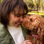 La IA no reemplaza la observación personal ni la visita a refugios, pero sí ofrece ejemplos basados en patrones de comportamiento canino y perfiles humanos.  La IA no reemplaza la observación personal ni la visita a refugios, pero sí ofrece ejemplos basados en patrones de comportamiento canino y perfiles humanos.