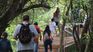 Once on the island, the guided trails will allow you to discover its varied vegetation and enjoy a dream landscape that only Corrientes can offer you. Once on the island, the guided trails will allow you to discover its varied vegetation and enjoy a dream landscape that only Corrientes can offer you.