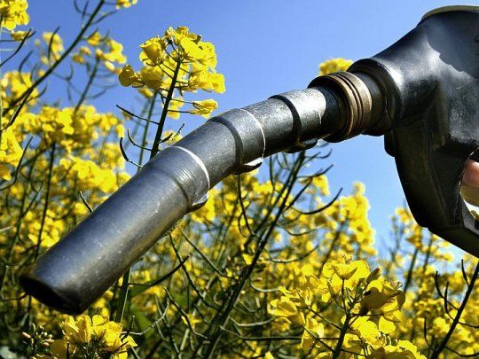 Energía subió precios de los biocombustibles: se evalúan nuevos aumentos en los surtidores