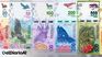 Argentine banknotes in circulation. Argentine banknotes in circulation.