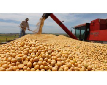 Los complejos del agro lideran las exportaciones argentinas. Los complejos del agro lideran las exportaciones argentinas.