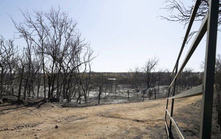 En Córdoba, el fuego arrasó con más de 40.000 hectáreas de bosques.