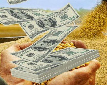 Las proyecciones del Gobierno es que queda sin venderse soja valuada en u$s2.500 millones.