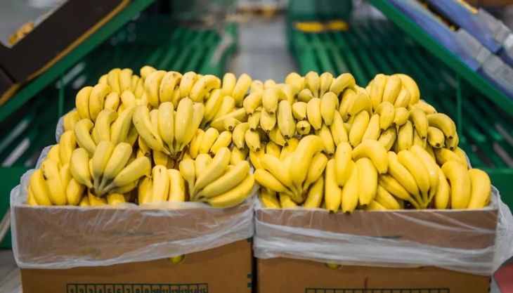 Salta es una de las provincias afectadas por la desregulación de la producción de bananas.