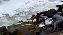 Rescató a un caniche que se cayó al mar y se hizo viral: Los perritos no hablan pero sé que me lo va a agradecer
