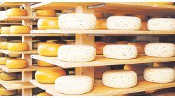 Cheese route: a circuit of flavors.