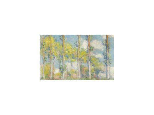 El óleo, cuyo título original en francés es Les Peupliers, pintado por el impresionista en 1891, estaba valorado entre 20 y 30 millones de dólares.