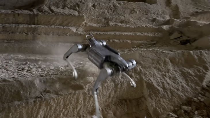 El perro robot con una gran cantidad de funciones y habilidades.