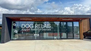 Los turistas pueden dejar a sus perros en el hotel Dog Relais mientras ellos pasean por Roma.