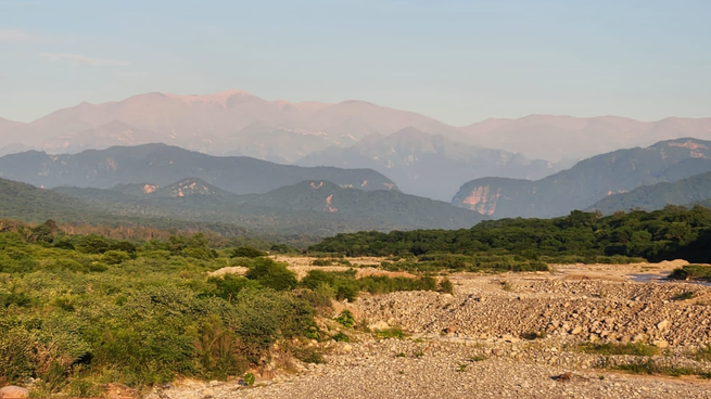 Proyecto Bosque Vinalito Jujuy