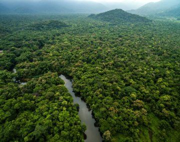 Caracterizado por el calor extremo y la humedad, el clima hipertropical aumenta los riesgos de sequías e incendios en el Amazonas. Caracterizado por el calor extremo y la humedad, el clima hipertropical aumenta los riesgos de sequías e incendios en el Amazonas.