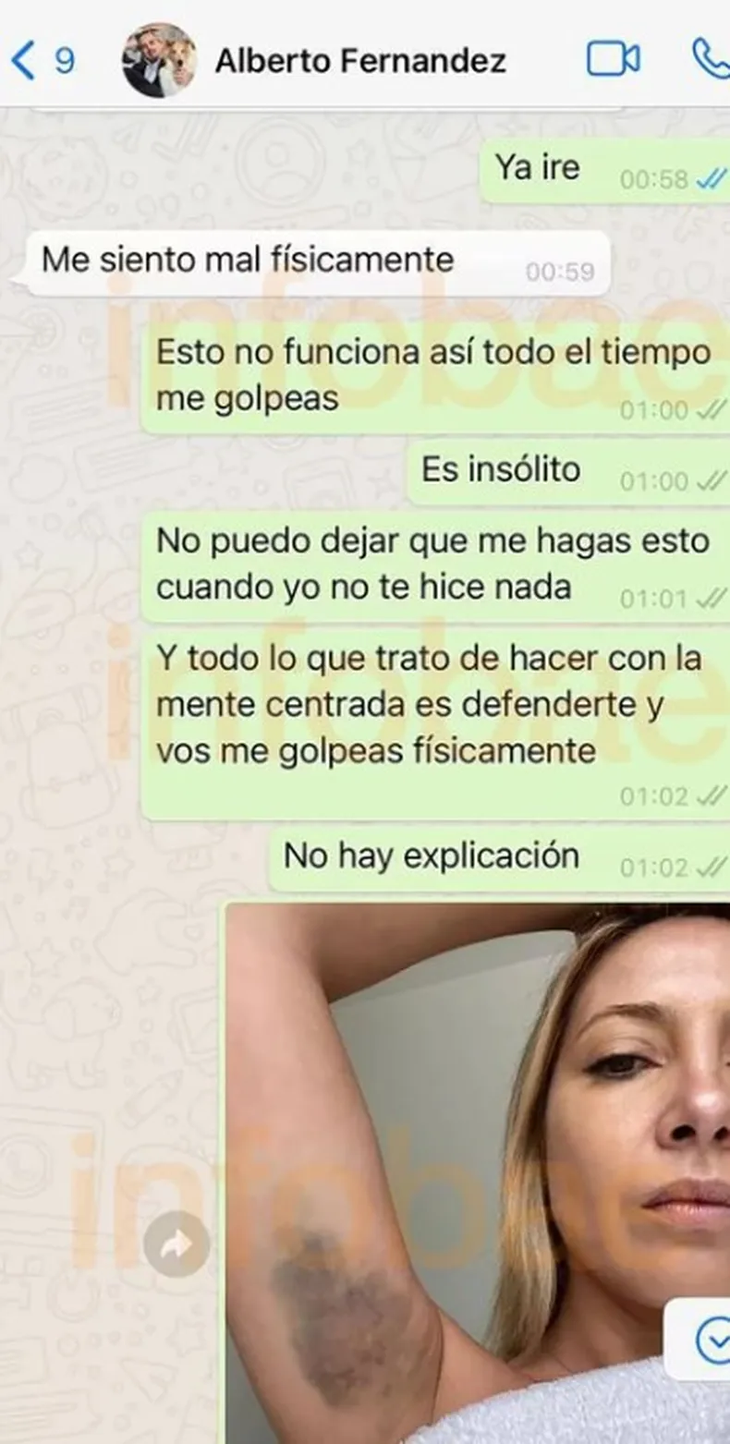 Los chats entre Fabiola Yañez y Alberto Fernández.