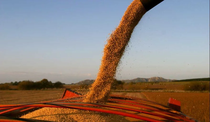 Las retenciones cero a los granos se anunciaron este lunes 22 y se cayeron este miércoles 24. Las retenciones cero a los granos se anunciaron este lunes 22 y se cayeron este miércoles 24.