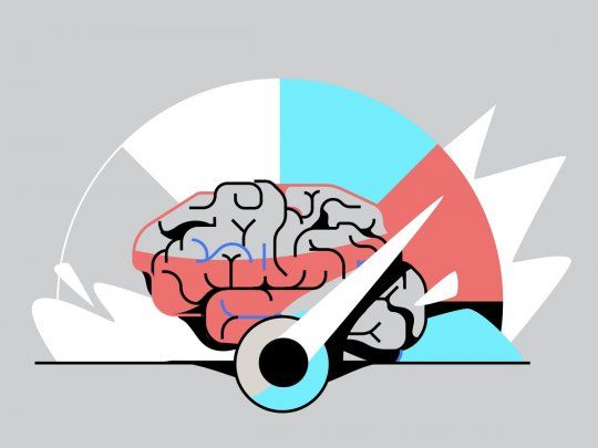 Cerebro y rendimiento. 