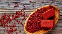 La planta sagrada que cura, da color y protege: secretos del achiote mexicano
