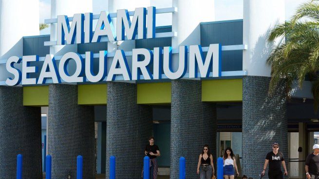 Tras la muerte de la orca Lolita y la presión de ambientalistas, el acuario debió cerrar para siempre sus puertas.