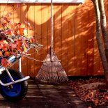 Se viene una época delicada en la jardinería del hogar y te contamos cómo cuidar tus plantas. Se viene una época delicada en la jardinería del hogar y te contamos cómo cuidar tus plantas.