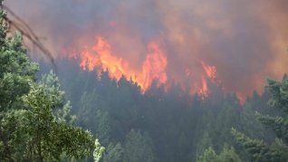 El fuego ya consumió 12.000 hectáreas de Epuyén. El fuego ya consumió 12.000 hectáreas de Epuyén.