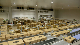 Devesa empleaba en forma directa a más de 900 personas. 