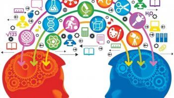 5 mitos populares sobre el cerebro que son falsos
