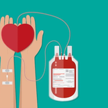 Día Nacional del Donante Voluntario de Sangre: qué se conmemora. Día Nacional del Donante Voluntario de Sangre: qué se conmemora.