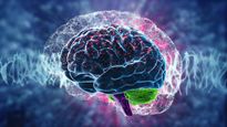 afirman que las estaciones del ano afectan nuestro cerebro
