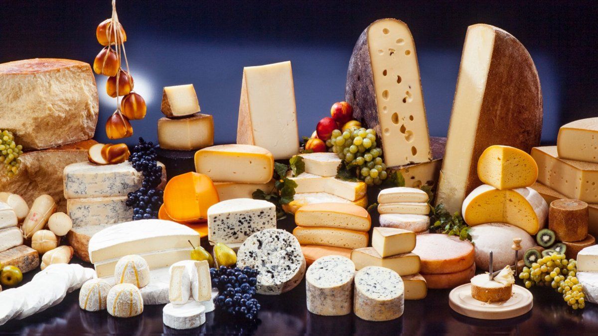 What are the 5 most protein cheeses you should add to your diet