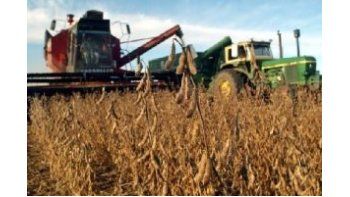USDA mantiene la estimación de la cosecha de soja argentina