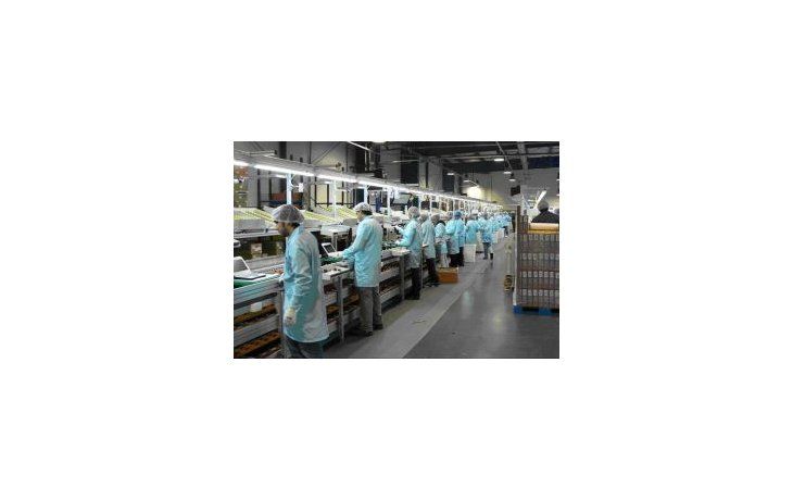 Aumentan las expectativas de empleo para el cuarto trimestre
