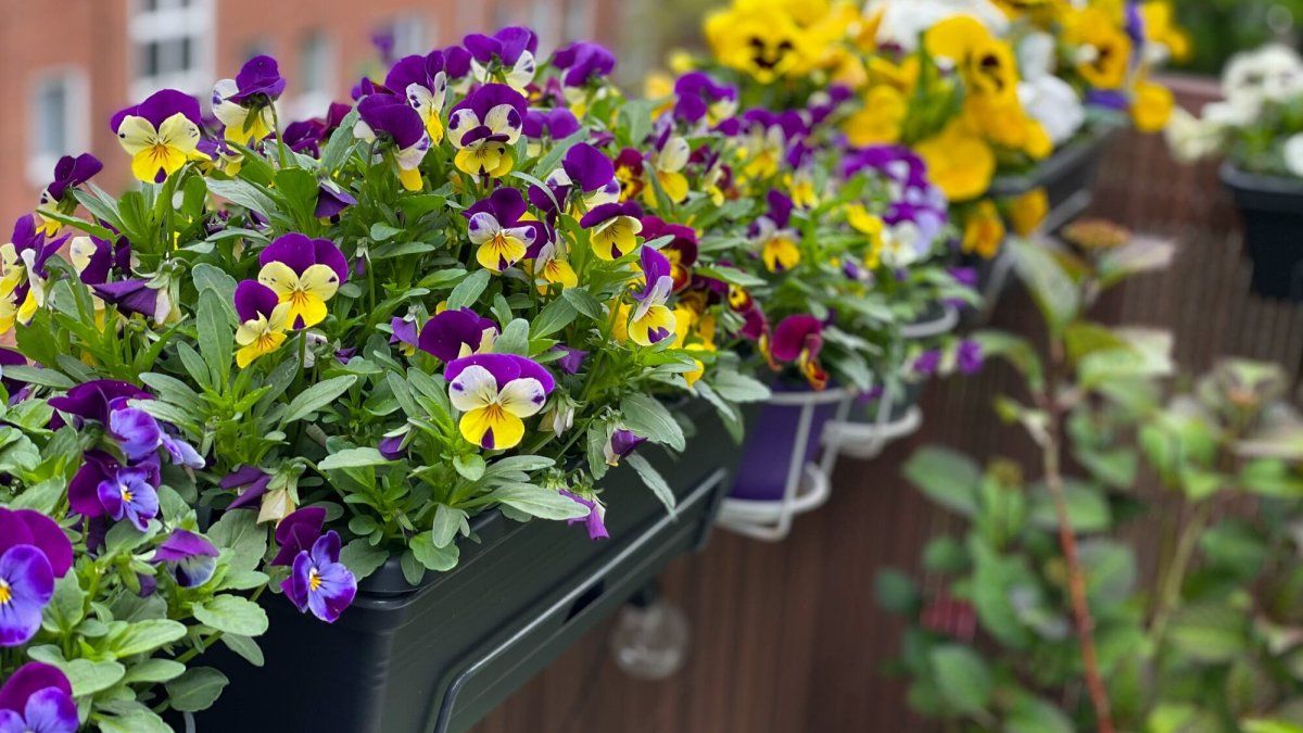 Spring at home: recycling old objects and transform them into floral and colorful ornaments