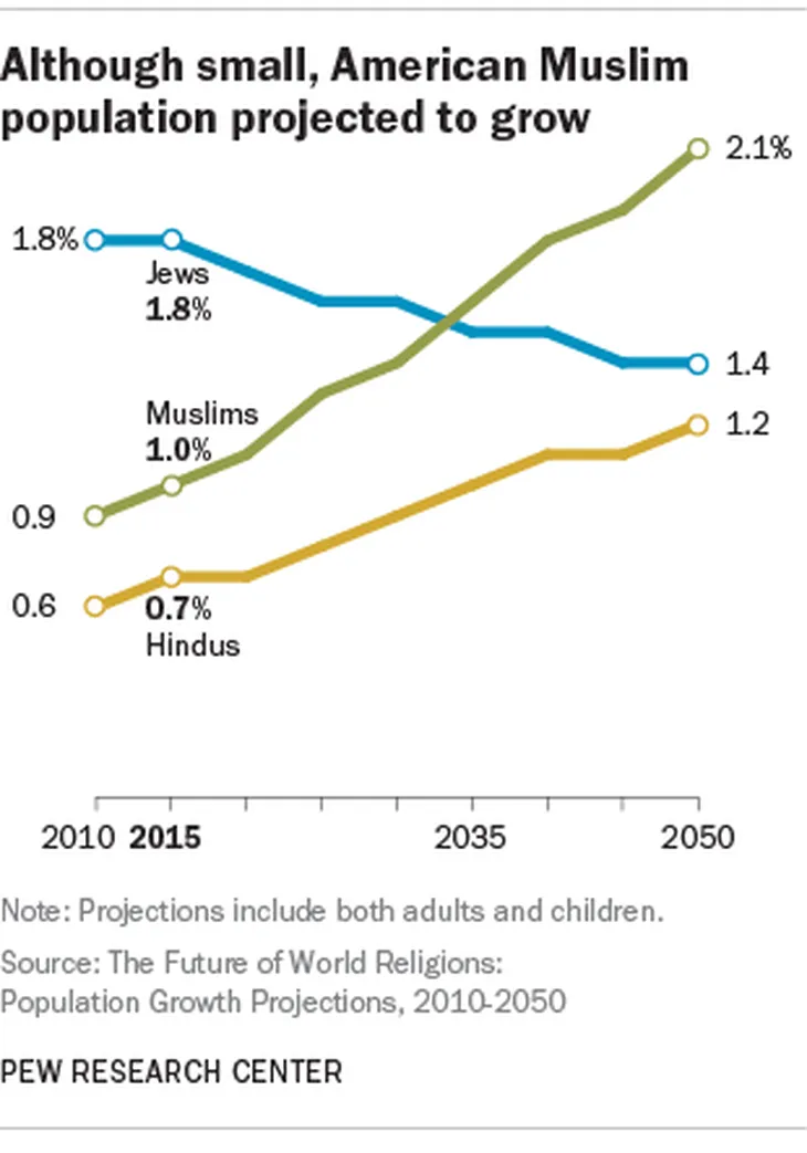 Las proyecciones son que en los pr&oacute;ximos 15 a&ntilde;os la poblaci&oacute;n musulmana y &aacute;rabe superara a la de los jud&iacute;os en los EEUU. Este es un cambio demogr&aacute;fico que ya hoy est&aacute; teniendo un peso pol&iacute;tico significativo y Trump lo sabe.