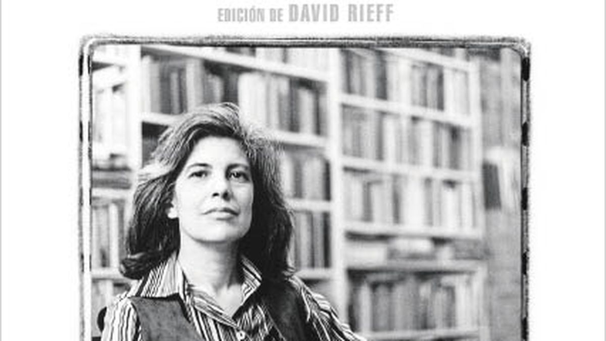 Susan Sontag Davanti Al Dolore Degli Altri The substance of the work of Susan Sontag, in a single book - 24 Hours