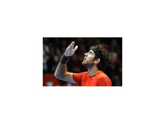 Del Potro figura duodécimo en el ranking de la ATP.