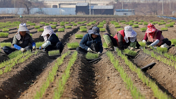 Las granjas con mayor desempeño en reducción de emisiones podrán renovar su certificación. Las granjas con mayor desempeño en reducción de emisiones podrán renovar su certificación.