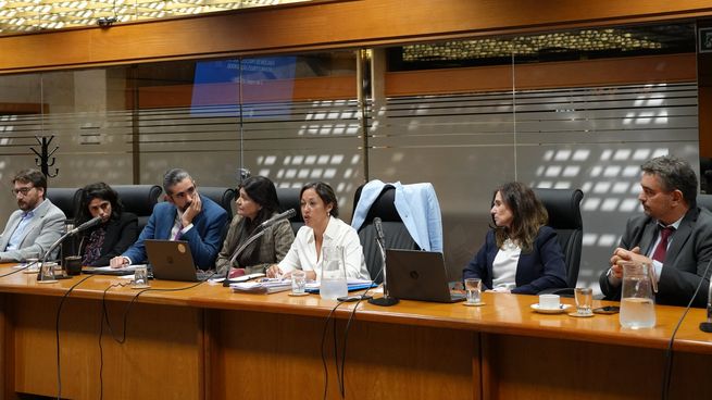 La ministra Fernanda Cardona ratificó su postura sobre la deuda de Ancap y la mala gestión anterior.