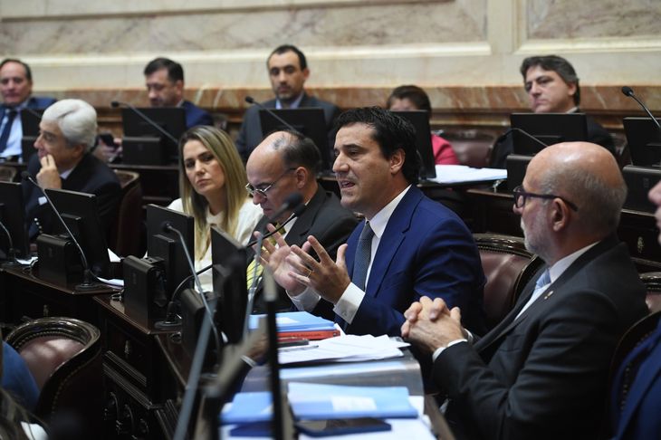 El senador radical por la provincia de Buenos Aires, Maximiliano Abad. El senador radical por la provincia de Buenos Aires, Maximiliano Abad.