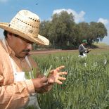 Suprema Corte defiende derecho de trabajadores rurales. Suprema Corte defiende derecho de trabajadores rurales.