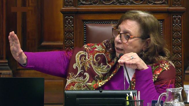Momento de tensión en el Parlamento tras la caída de Ana Olivera durante la sesión.