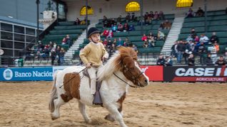 La Expo Rural abre en vacaciones con recorridos lúdicos y educativos para niños y adultos