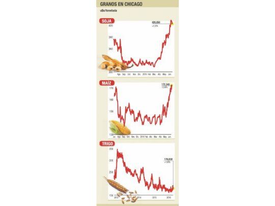 Rebote técnico en Chicago